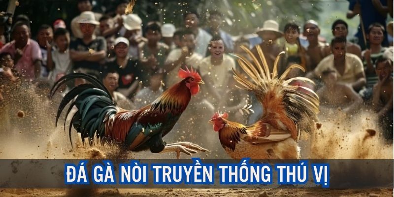 Các cuộc chiến chọi kê nòi truyền thống thú vị