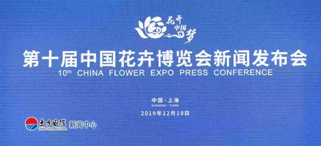 非凡国际