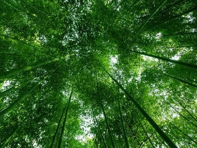 非凡国际